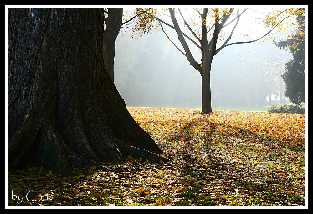 Streifzug durch den Park