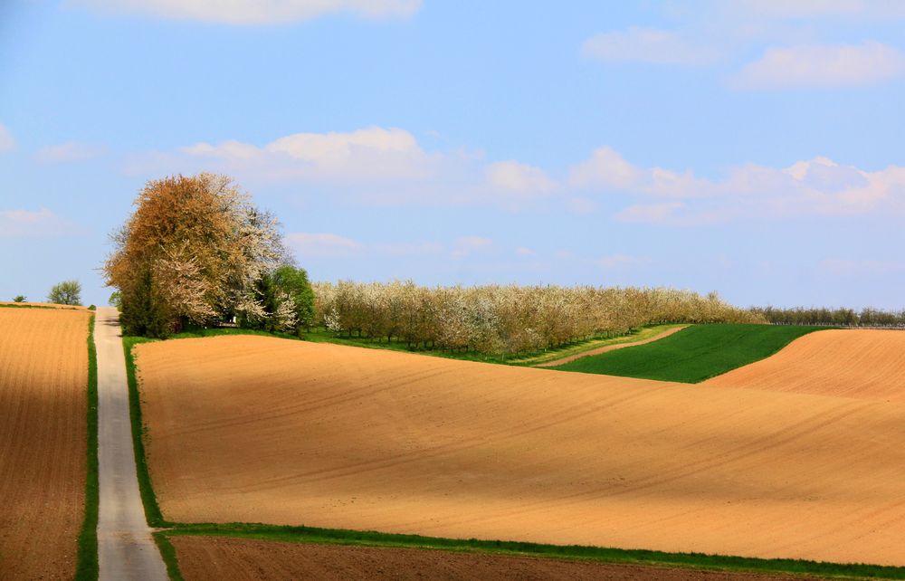 Streifzug durch Feld und Flur