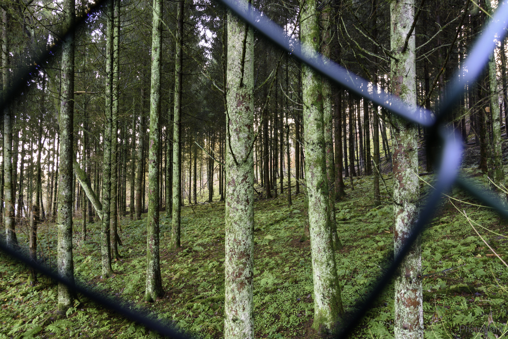 Streifzug im Bergischen Land #01