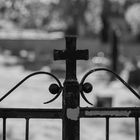 Streifzug über den Neuffener Friedhof