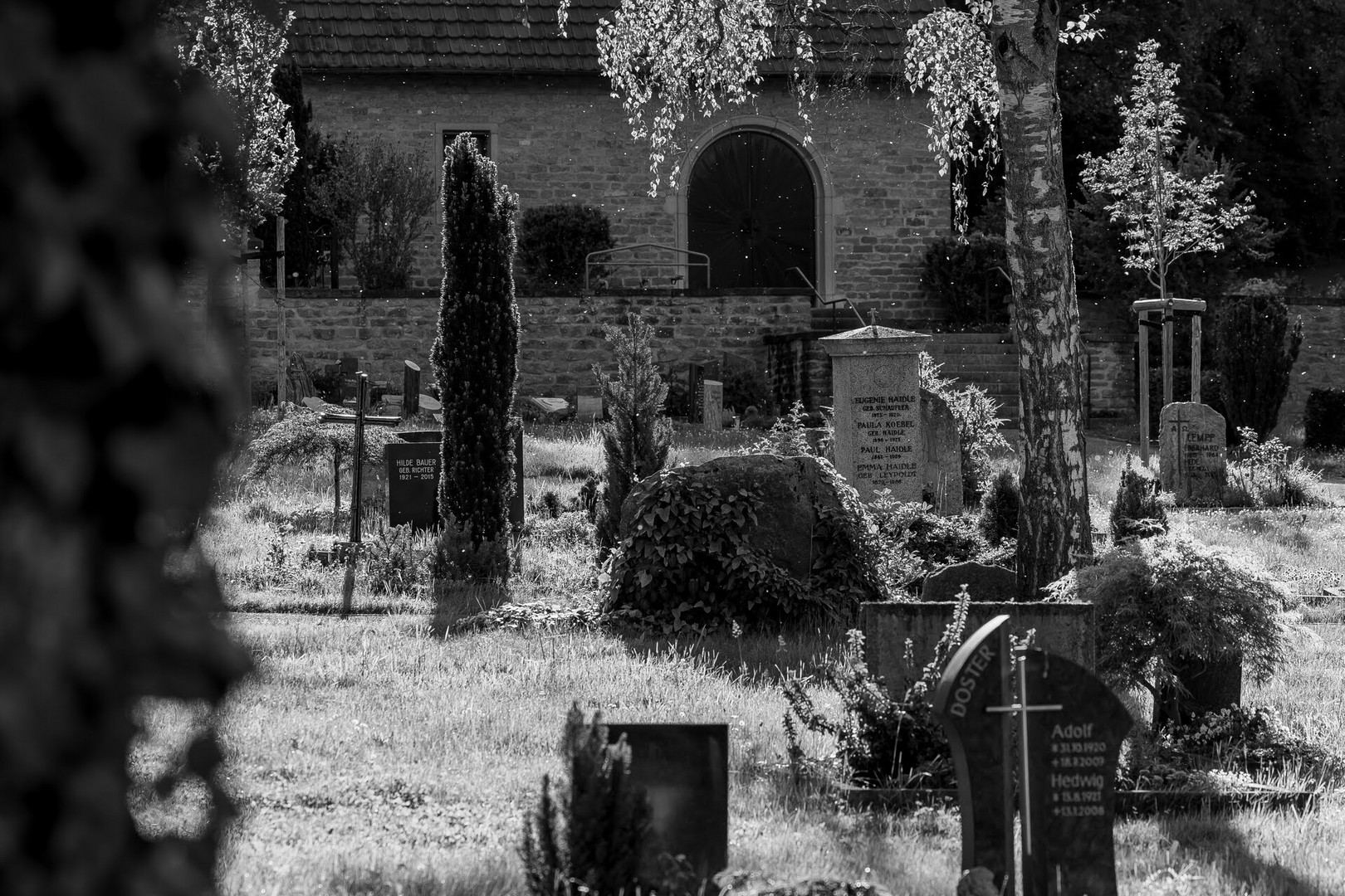 Streifzug über den Neuffener Friedhof