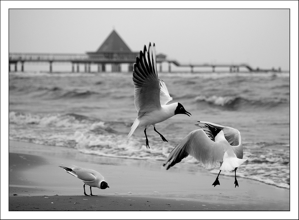 Streit am Strand