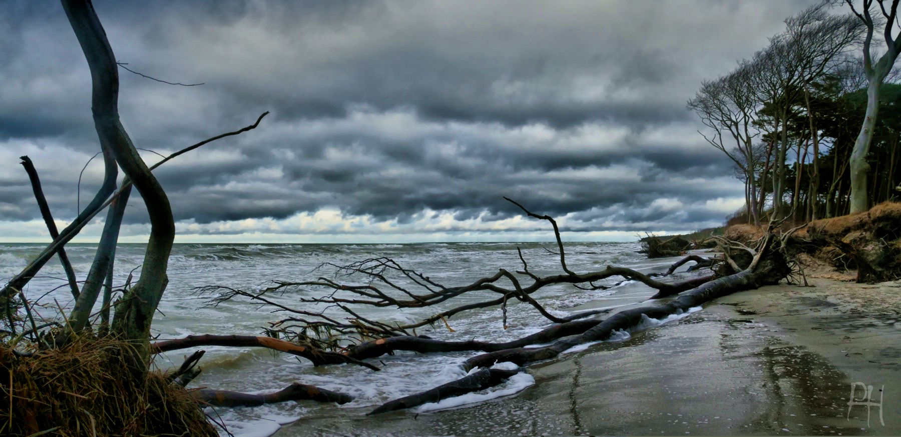 Streit der Biotope: Weststrand (I)