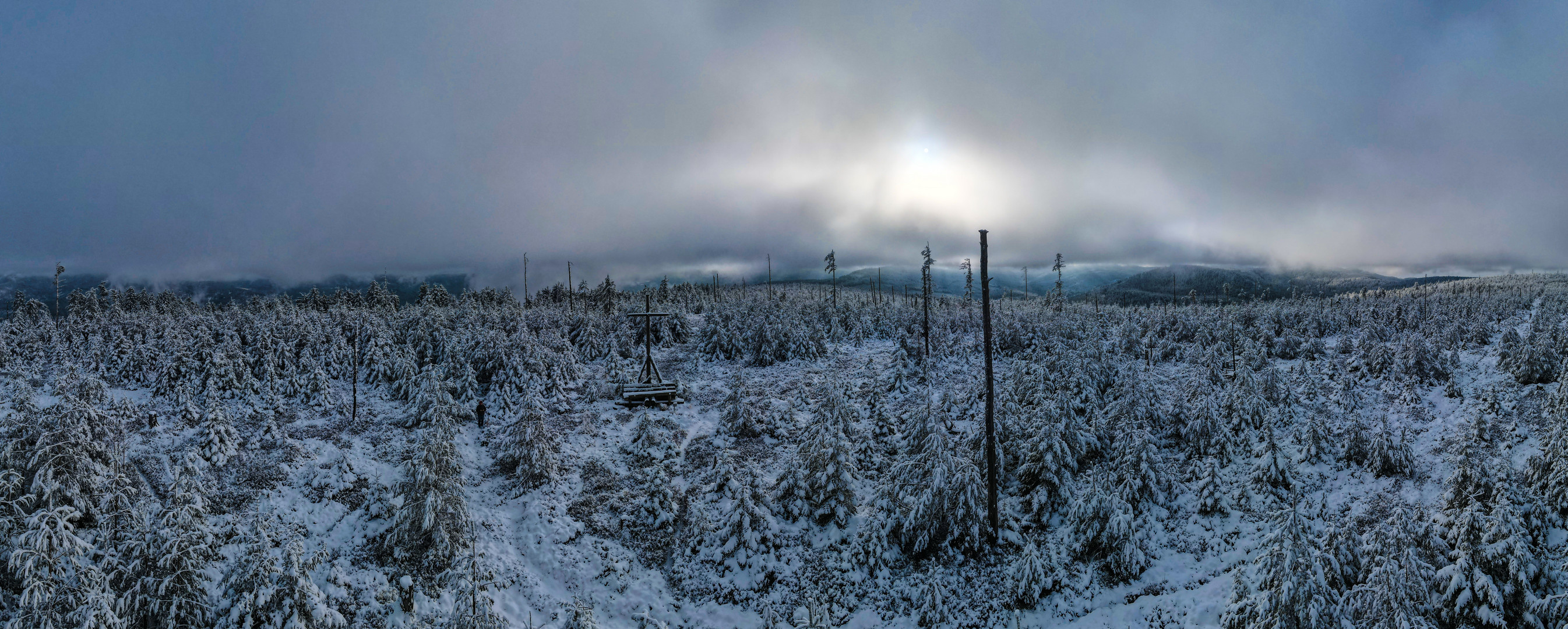 Streitmannskopf im Nordschwarzwald