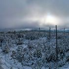 Streitmannskopf im Nordschwarzwald