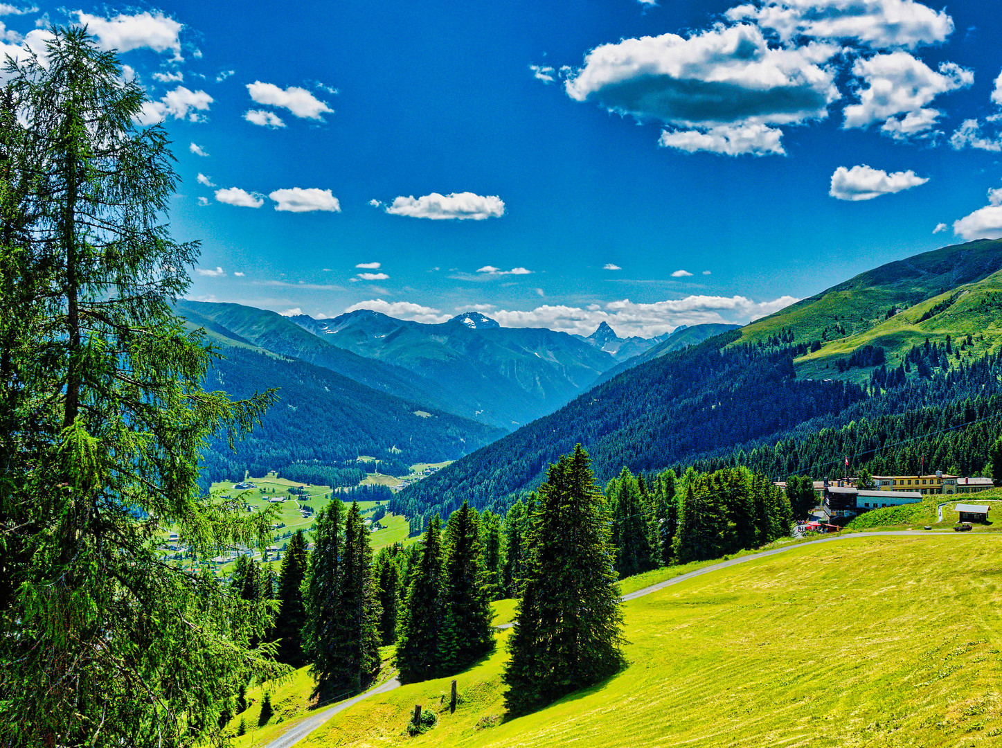 Strela Alp Ausblick Foto & Bild world, wiese, natur Bilder auf