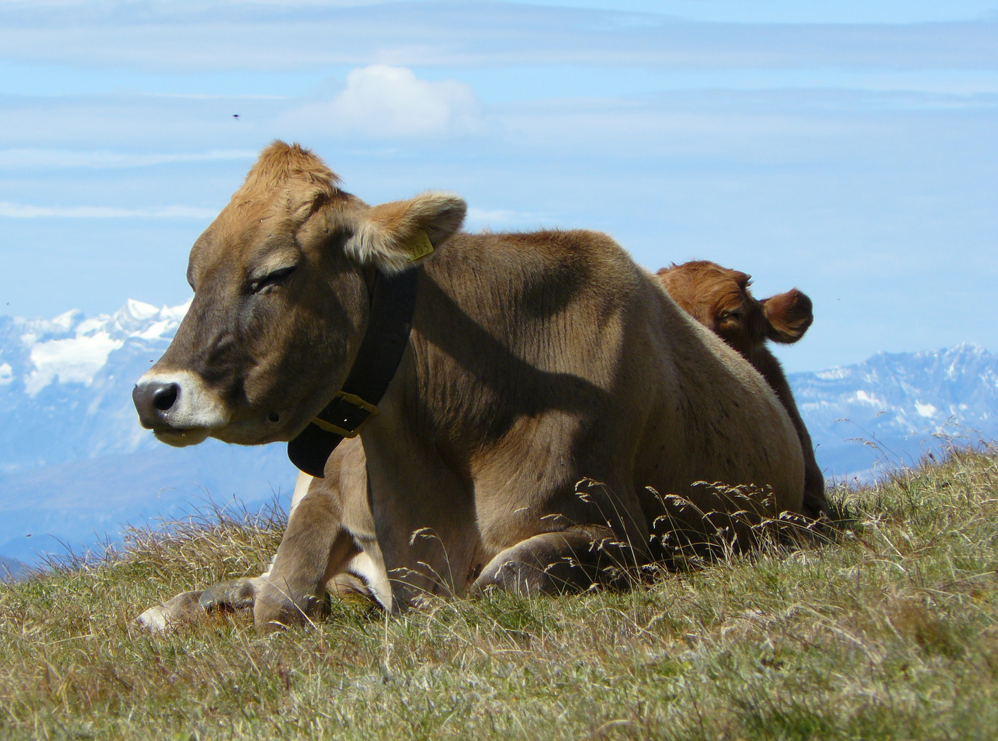 Strelapass