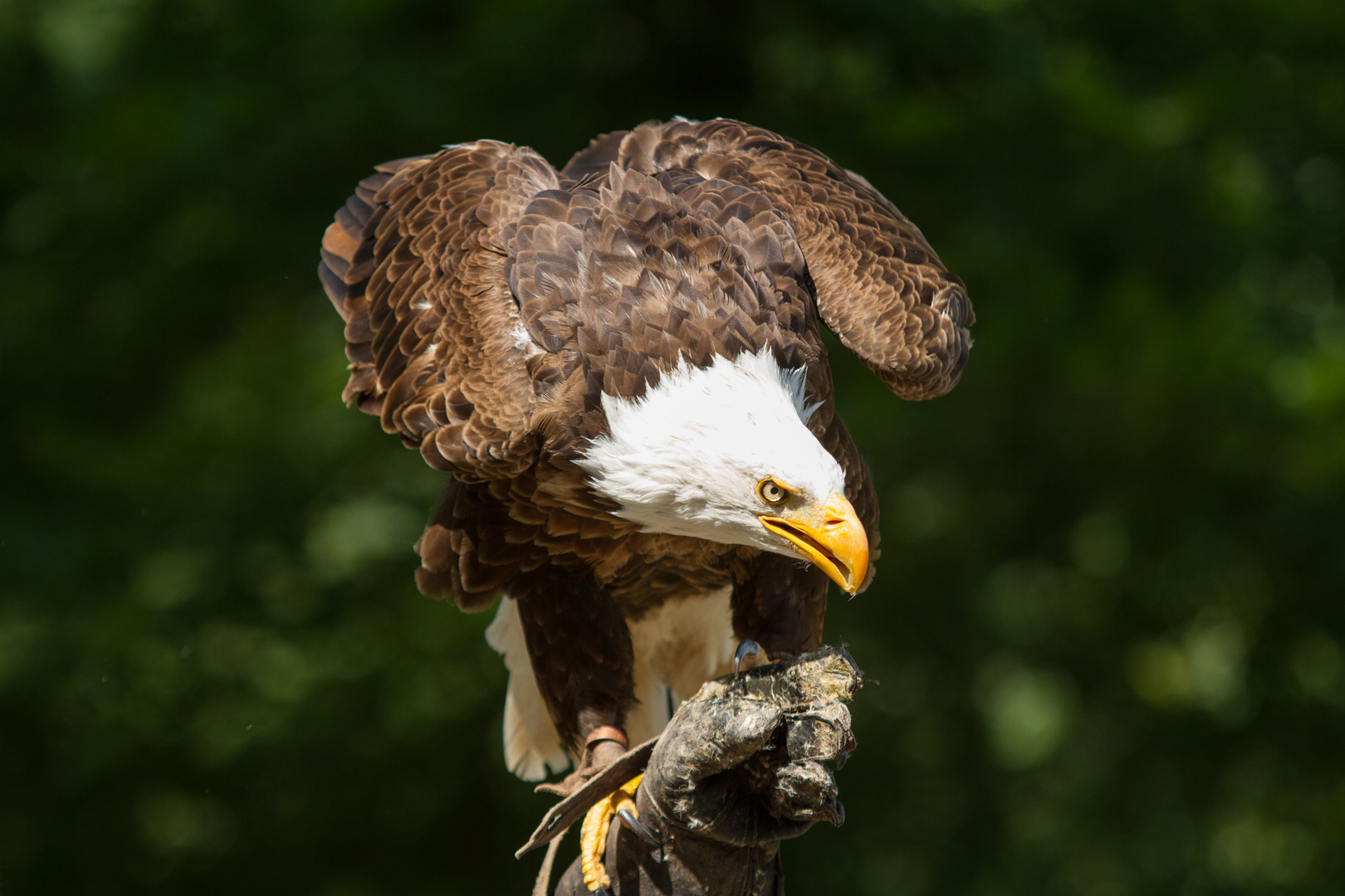 Strenger Blick