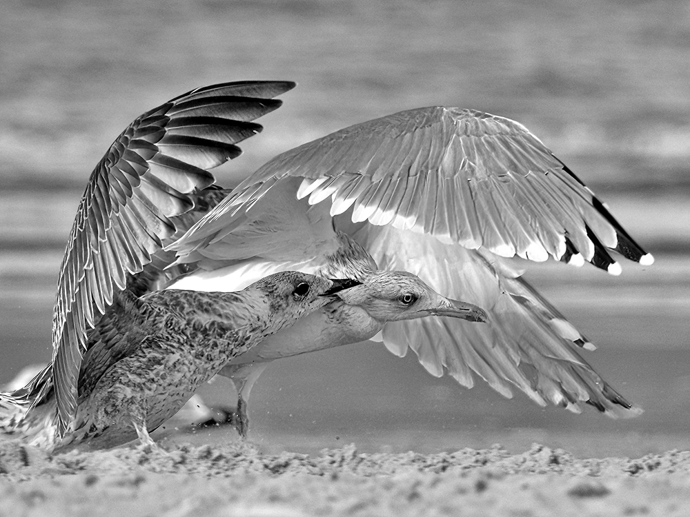 Stress am Strand