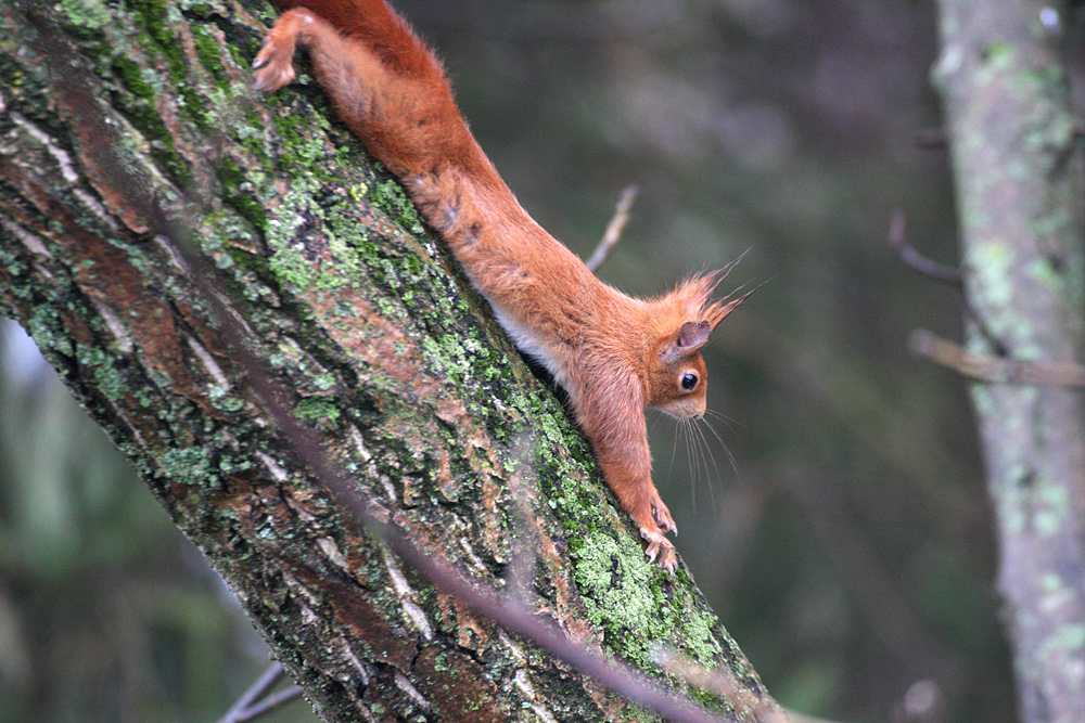 Stretching