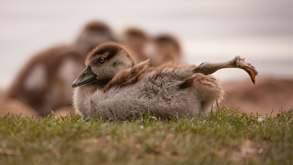 Stretching