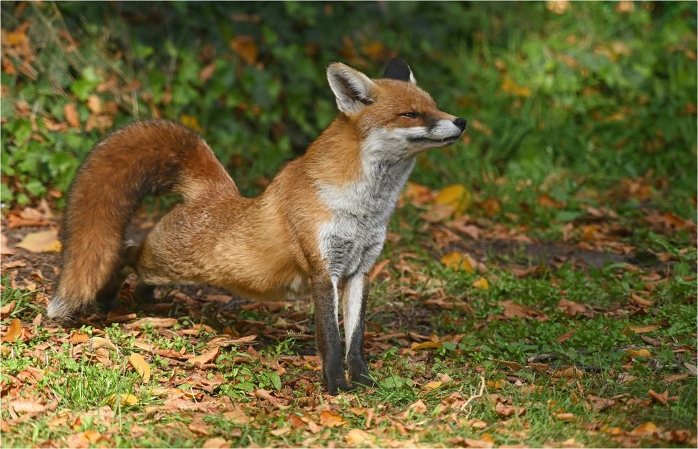 Stretching