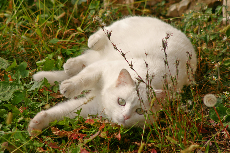 stretching