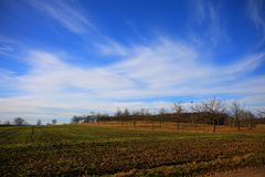 Streubobstwiese im Januar