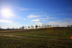 Streubobstwiese im Januar