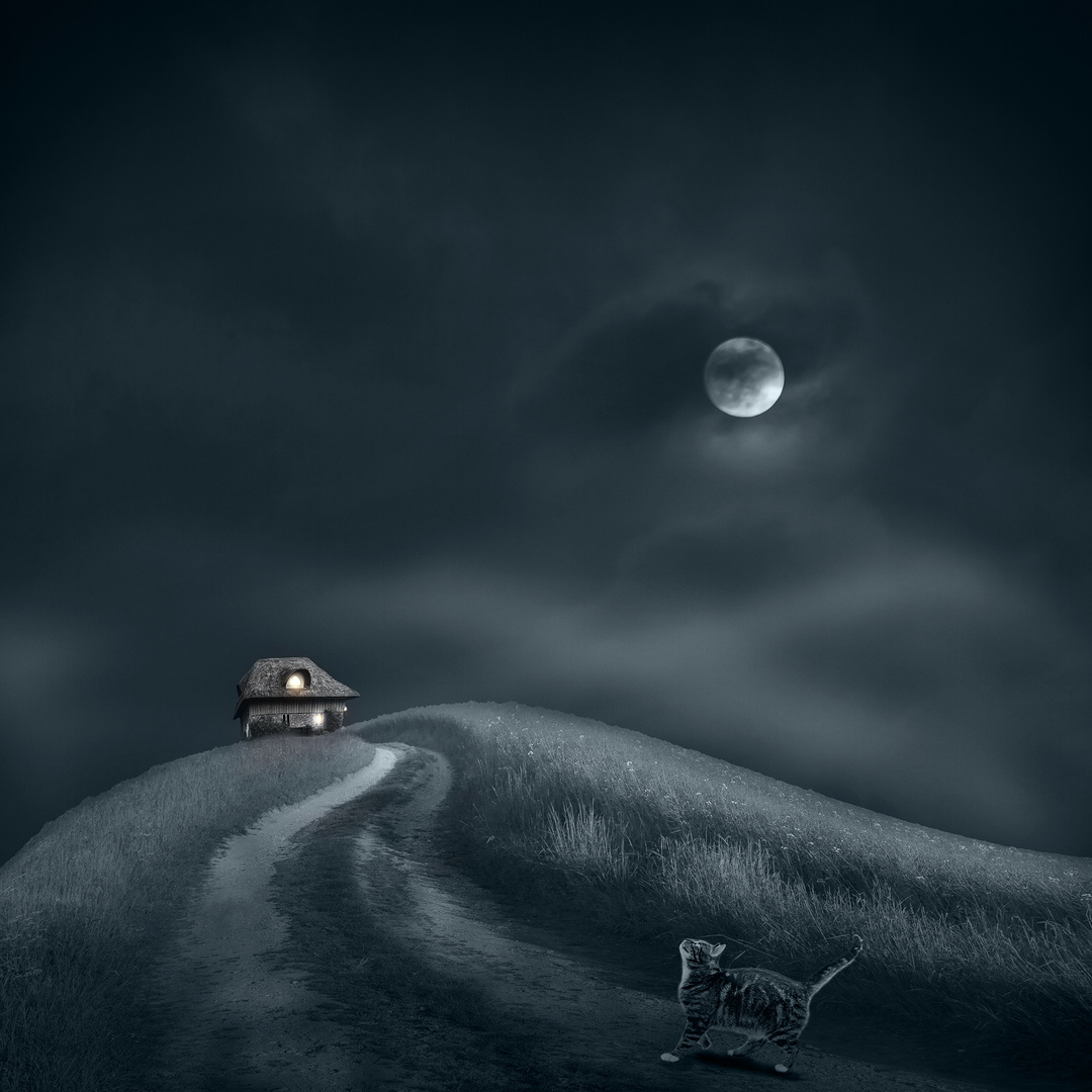 Streuner Foto & Bild | fotomontage, composing , surreal Bilder auf ...