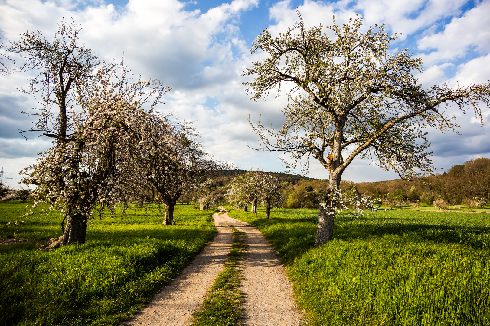 Streuobst-Erlebnisweg