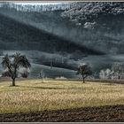 Streuobstgebiet direkt am Fuße des Albtraufs