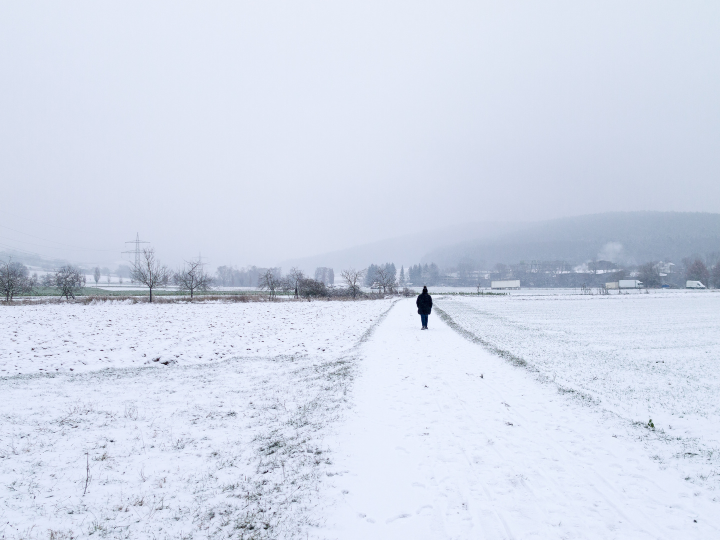 Streuobstschneespaziergang 986