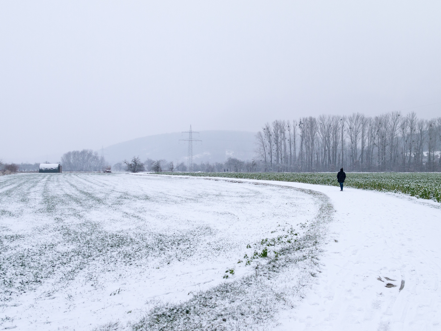 Streuobstschneespaziergang 993