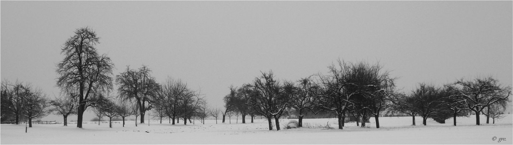 Streuobstwiese