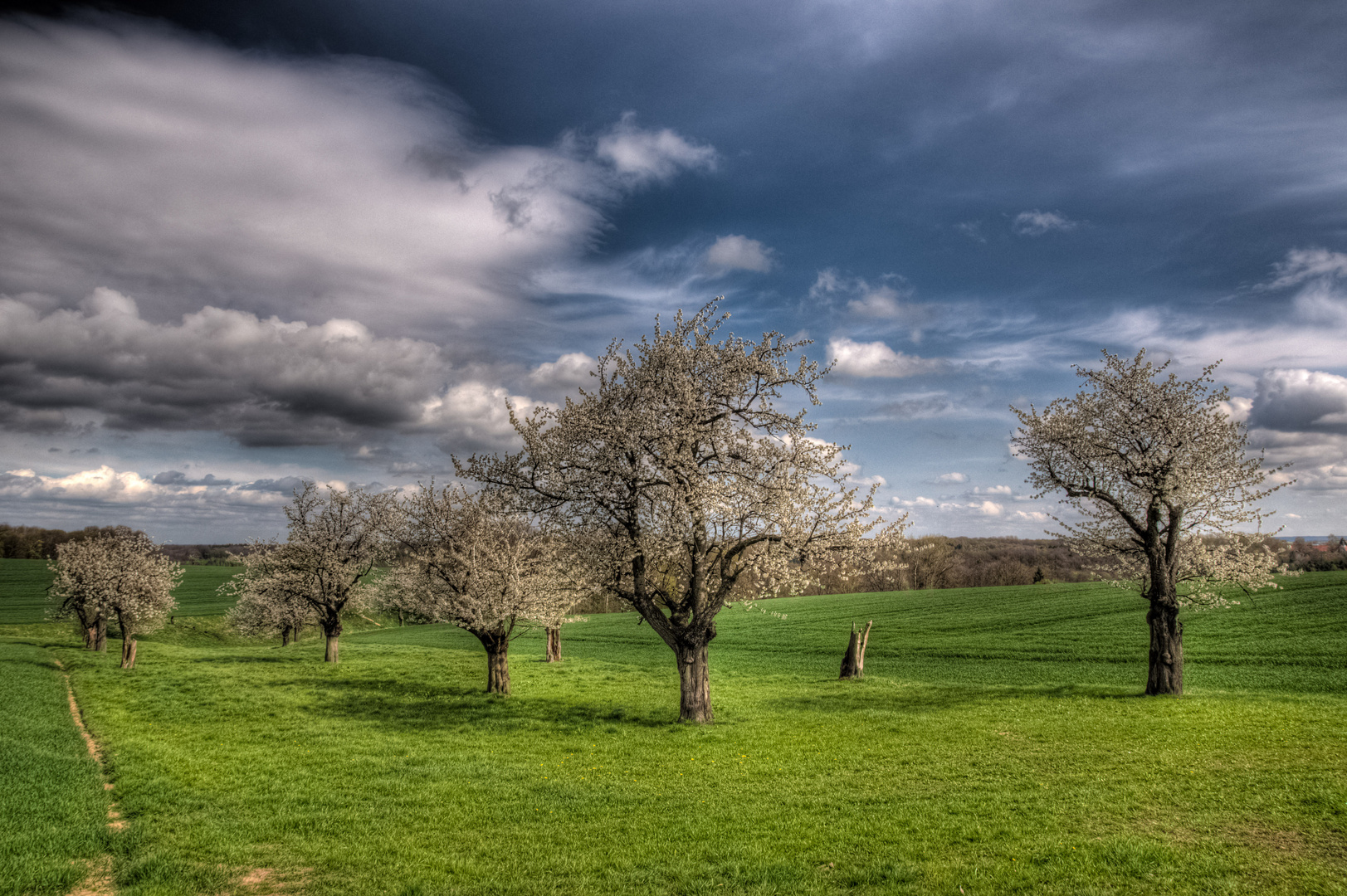 Streuobstwiese