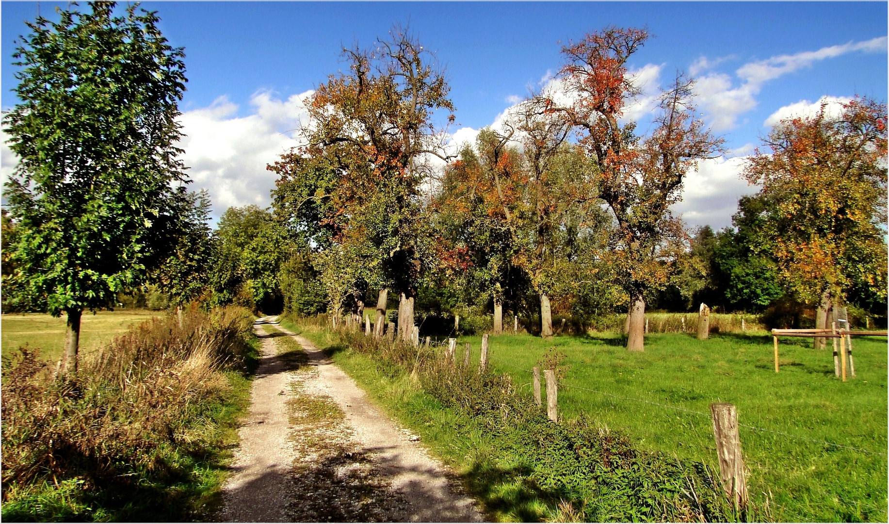 Streuobstwiese im Herbst