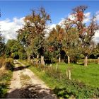 Streuobstwiese im Herbst