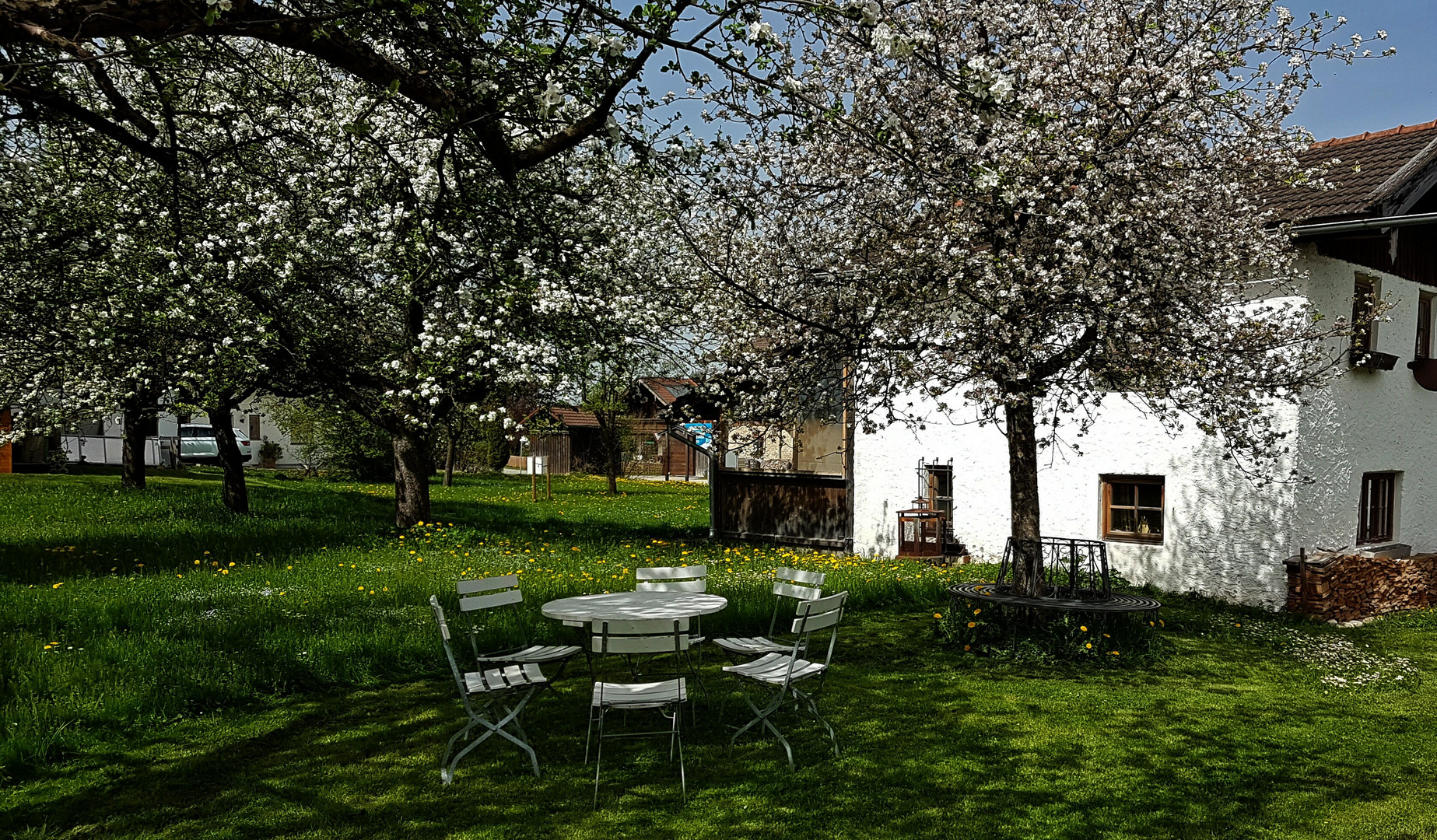 Streuobstwiese im Rosenheimer Land