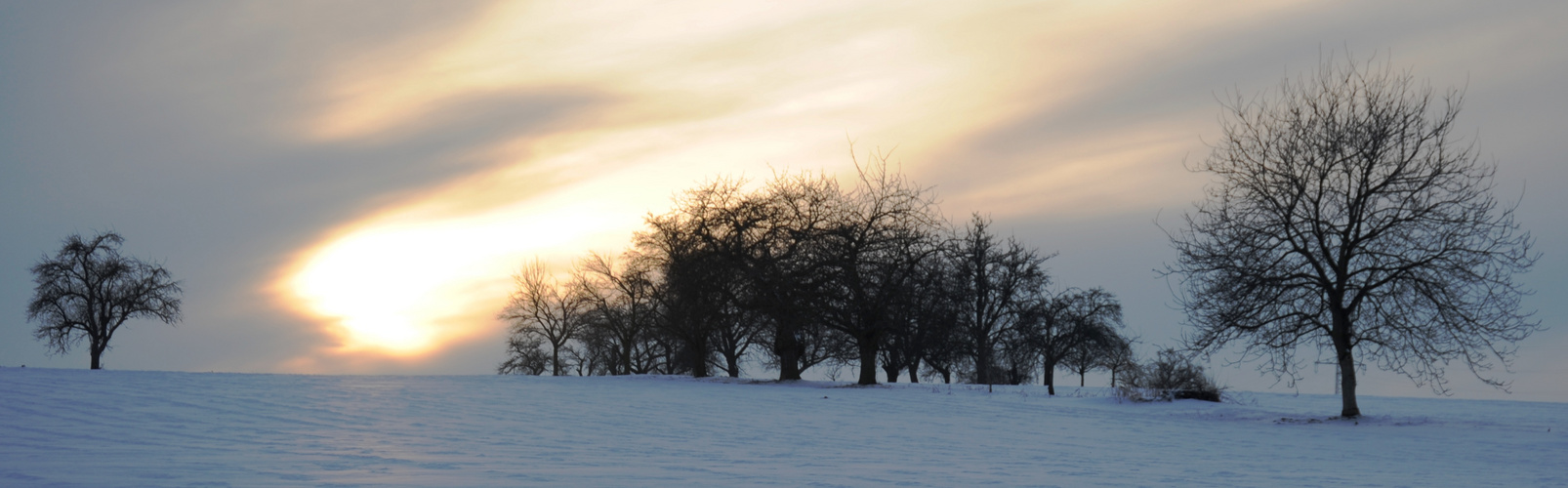 Streuobstwiese - Im Winter II