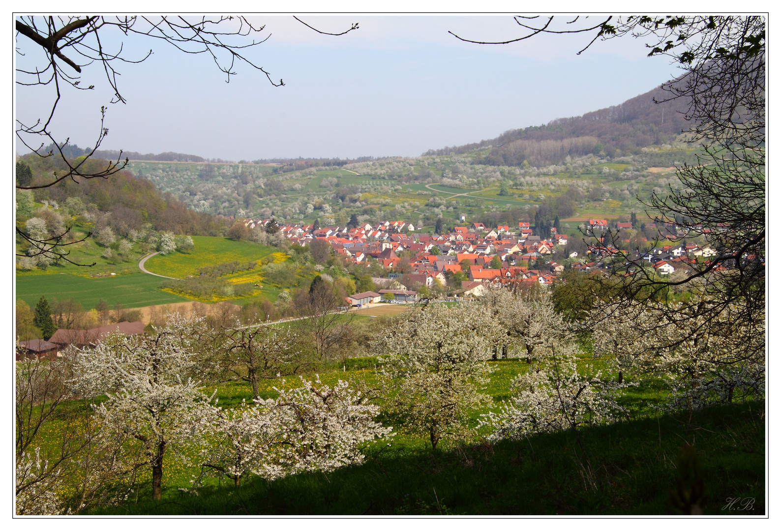 Streuobstwiesen