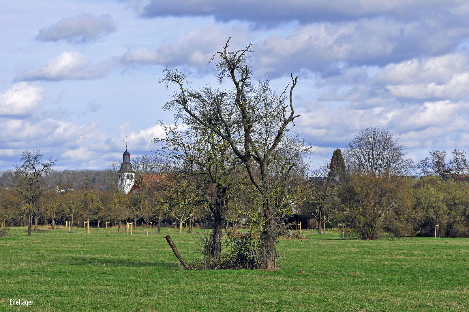 STREUOBSTWIESEN