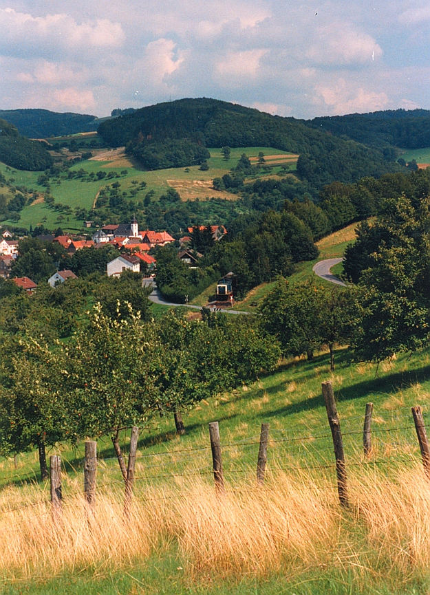 Streuobstwiesen