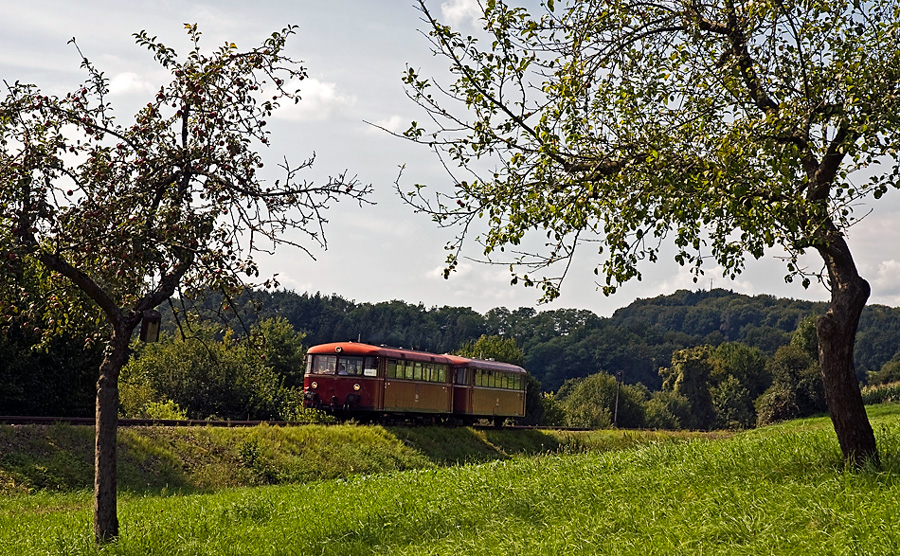 Streuobstwiesen