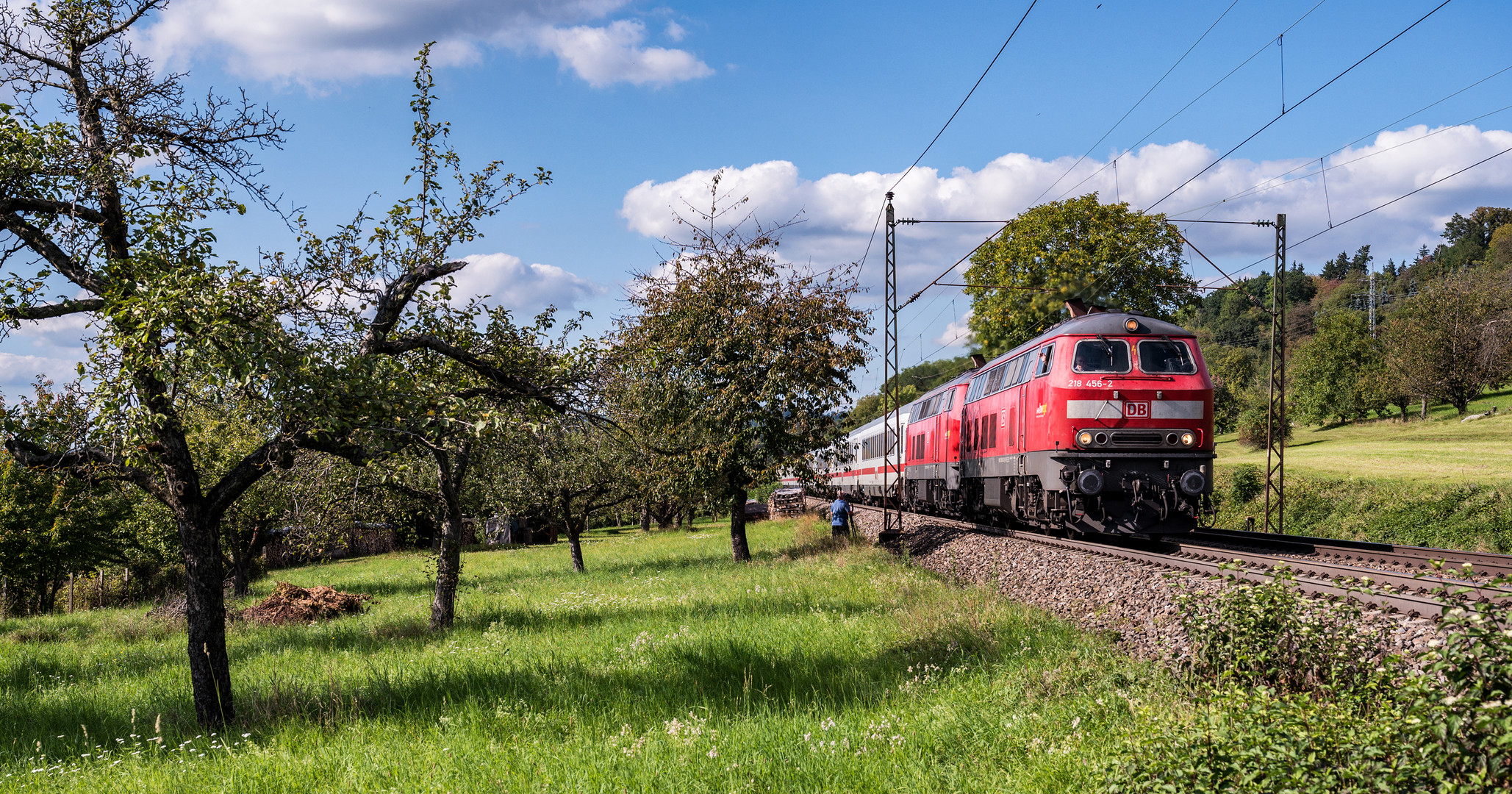 Streuobstwiesen-IC