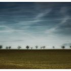 Streuobstwiesenskyline