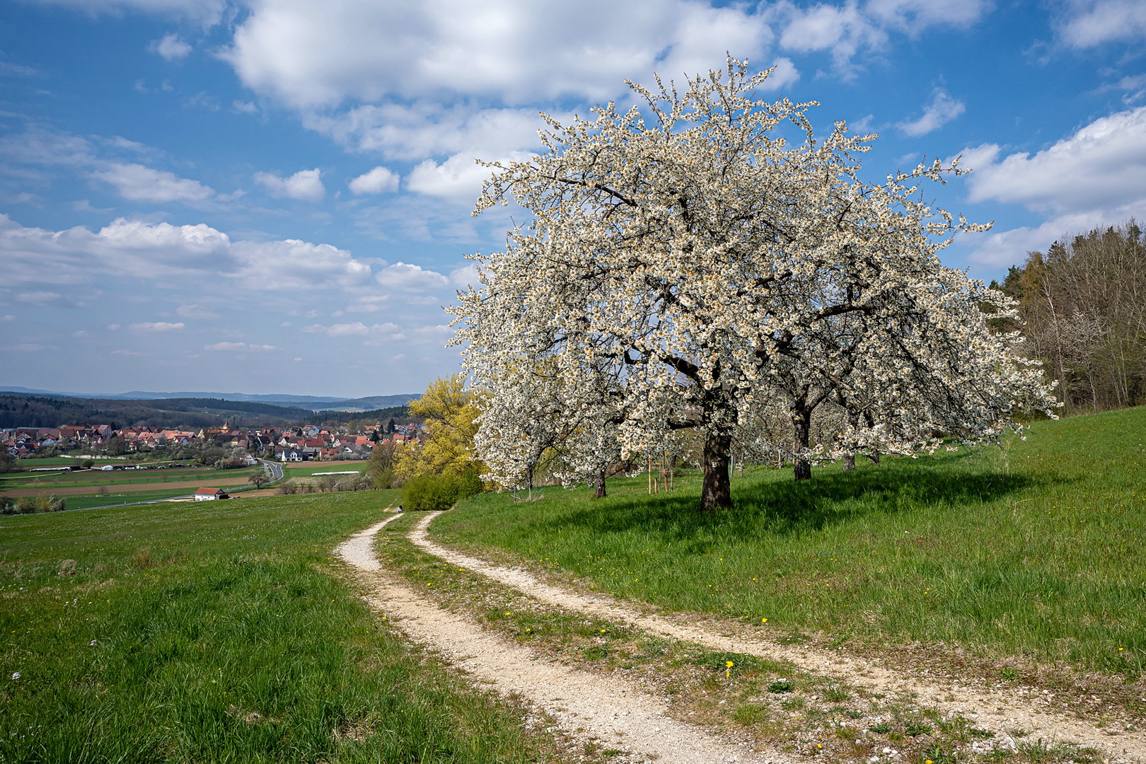 Streuobstwiesenweg