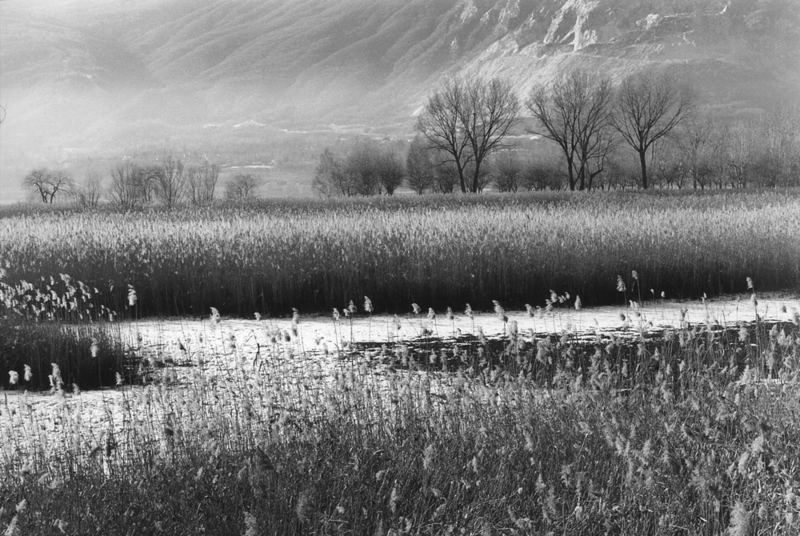 Striature-Canneto di fondo Toce