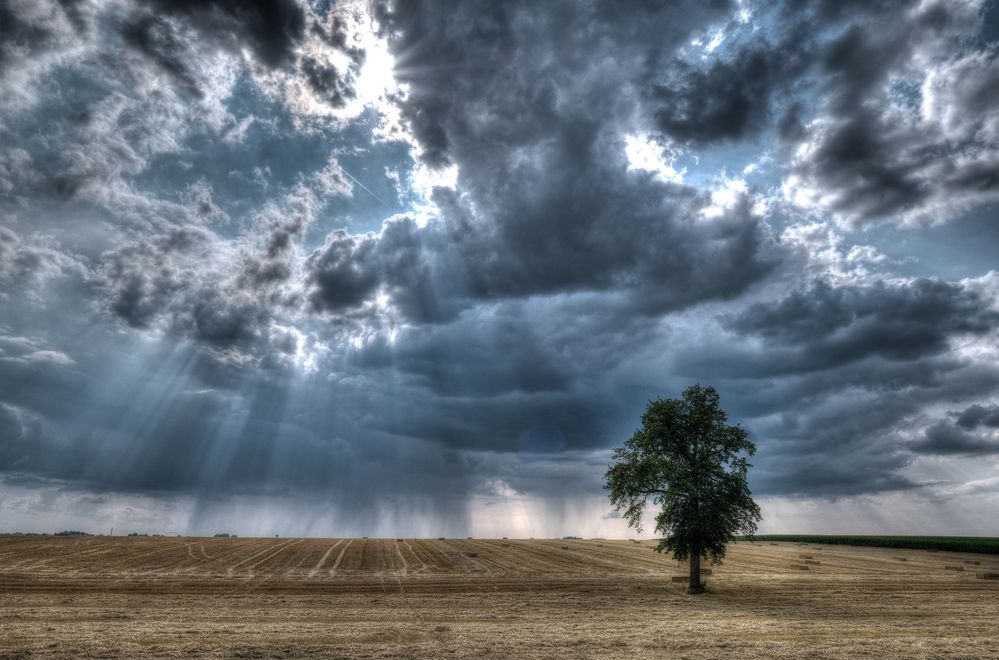 Strichweise Regen  Foto Bild  getreidefeld wolken baum  