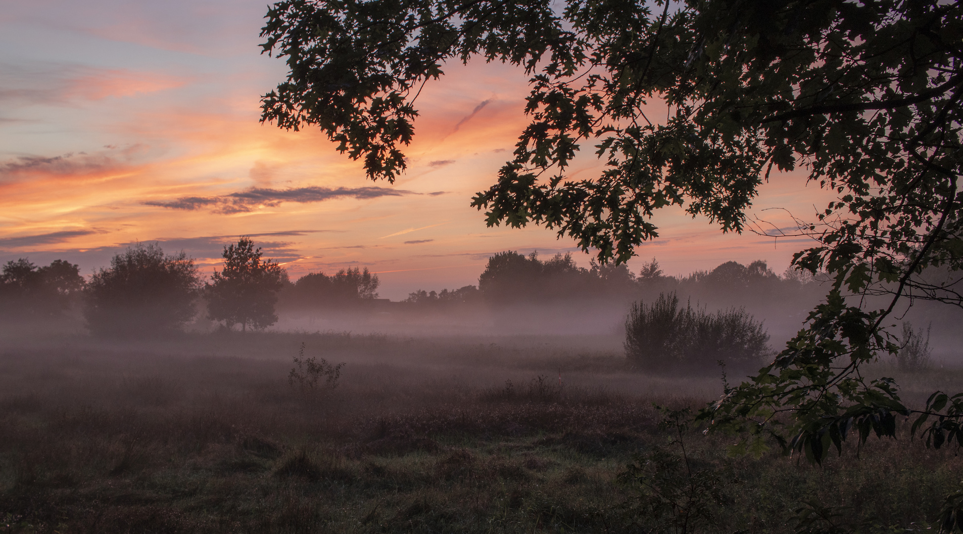 Strijbeeker Heide im Abendnebel