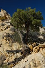 Strike Valley Overlook - Original