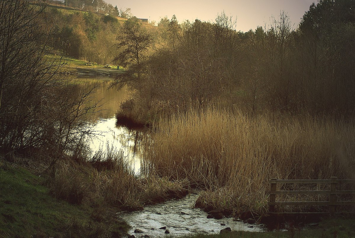 Strinesdale Oldham