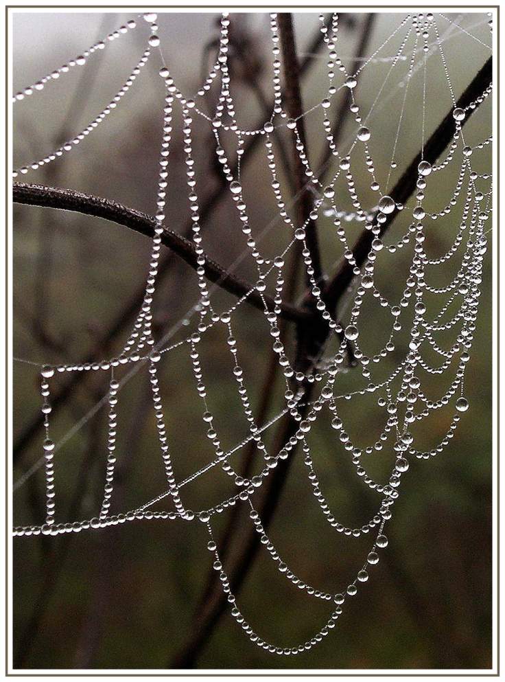 string of pearls