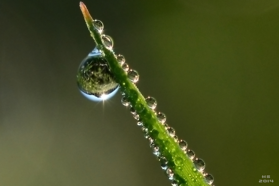 String of pearls...