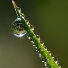 String of pearls...