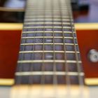 Strings & Frets