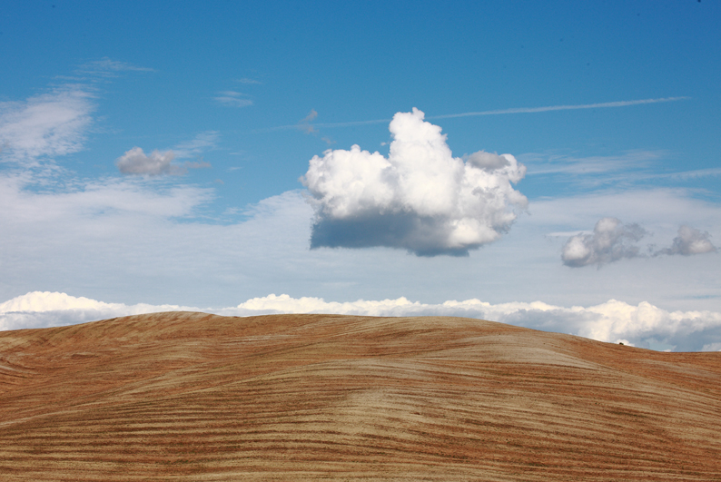 striped earth