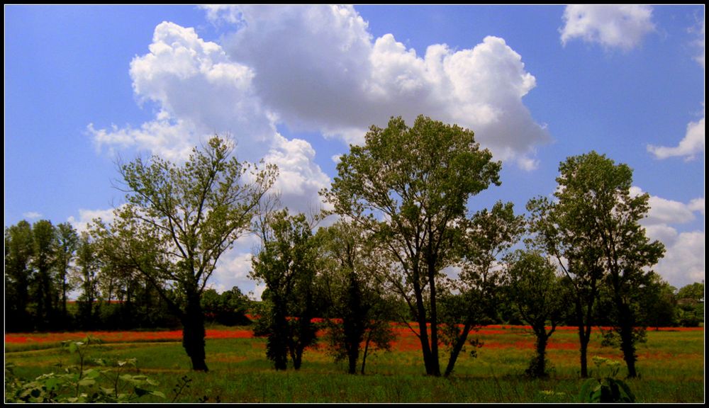 Strisce di rosso.....