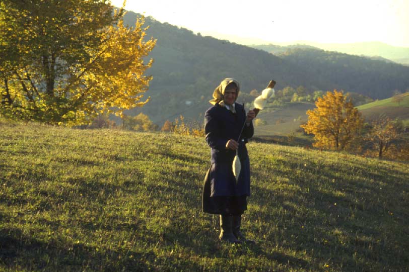 Strndzara Miroc Serbia