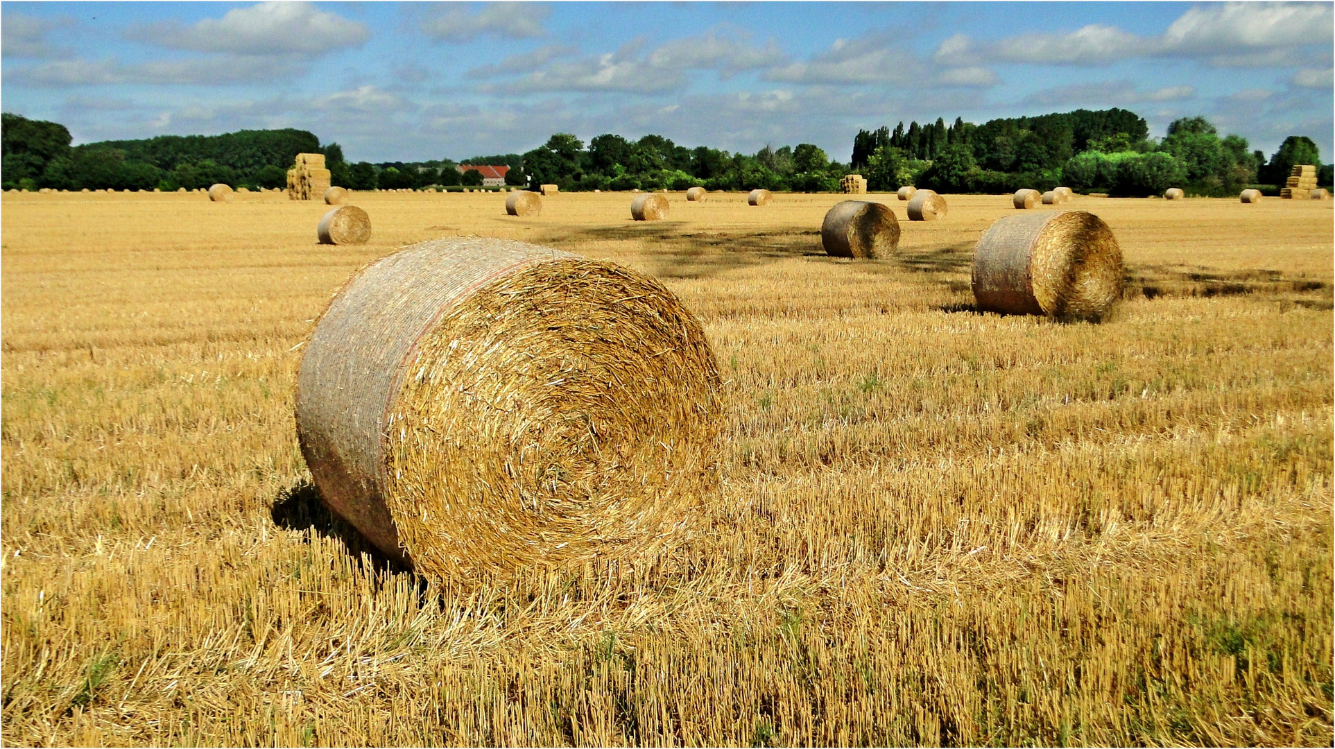 Stroh auf dem Feld, der Herbst bald Einzug hält.